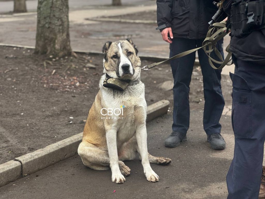 Собака і поліцейські