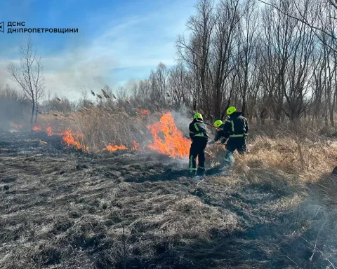 Вогнеборці ліквідують пожежу