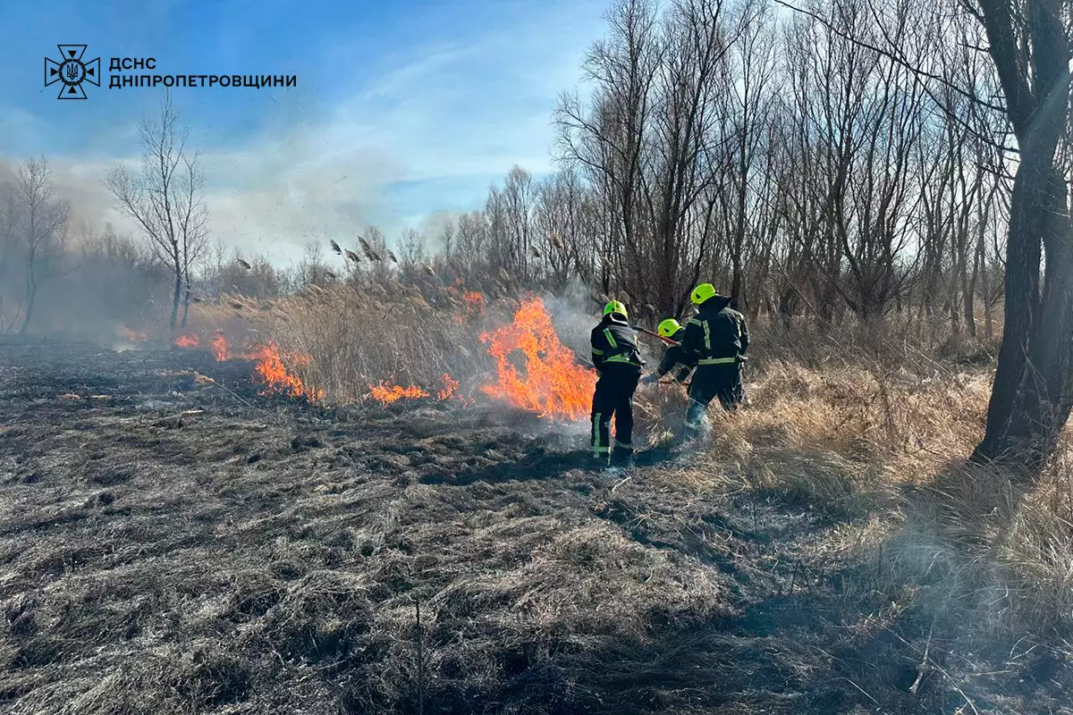 Вогнеборці ліквідують пожежу