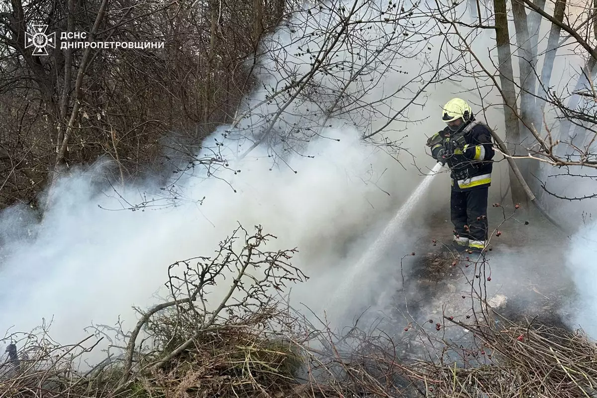 ДСНС ліквідують пожежу