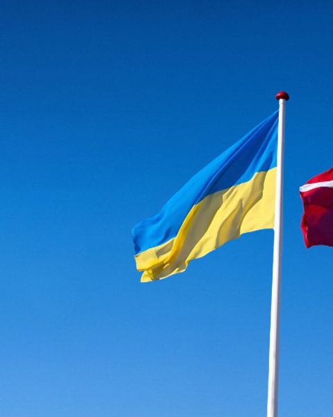 Прапор Данії і України