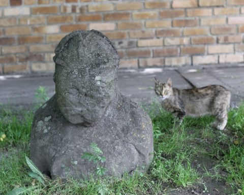 Половецькі баби