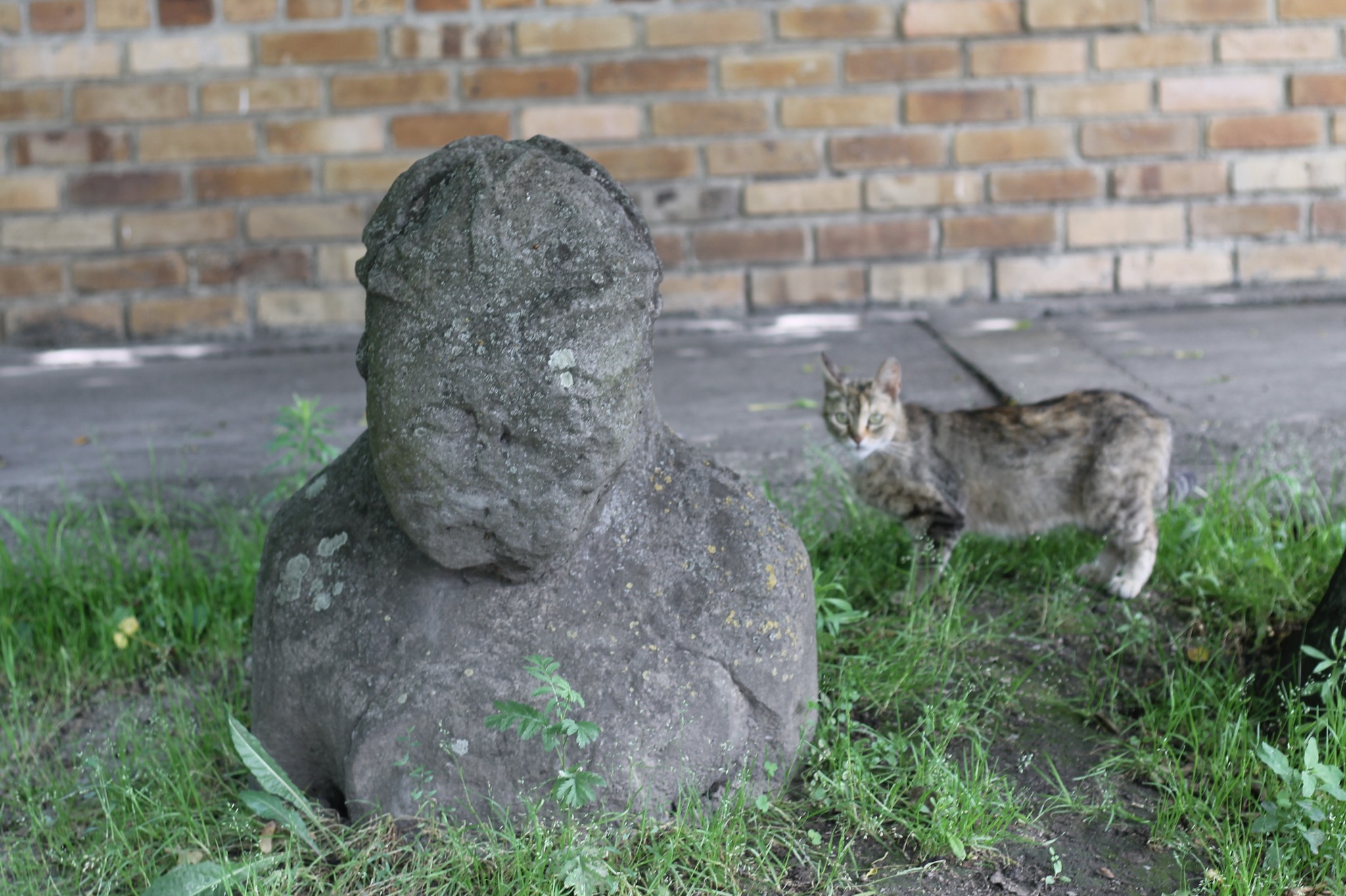 Половецькі баби