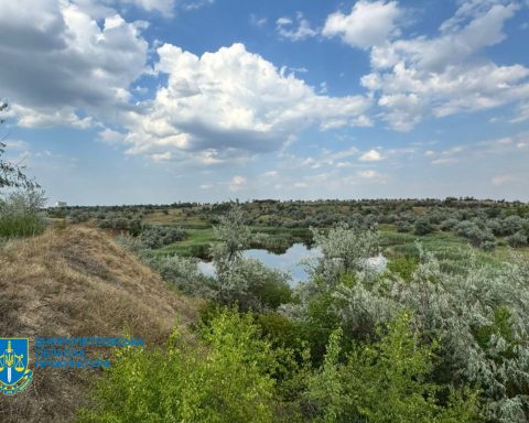Землі повернуті державі