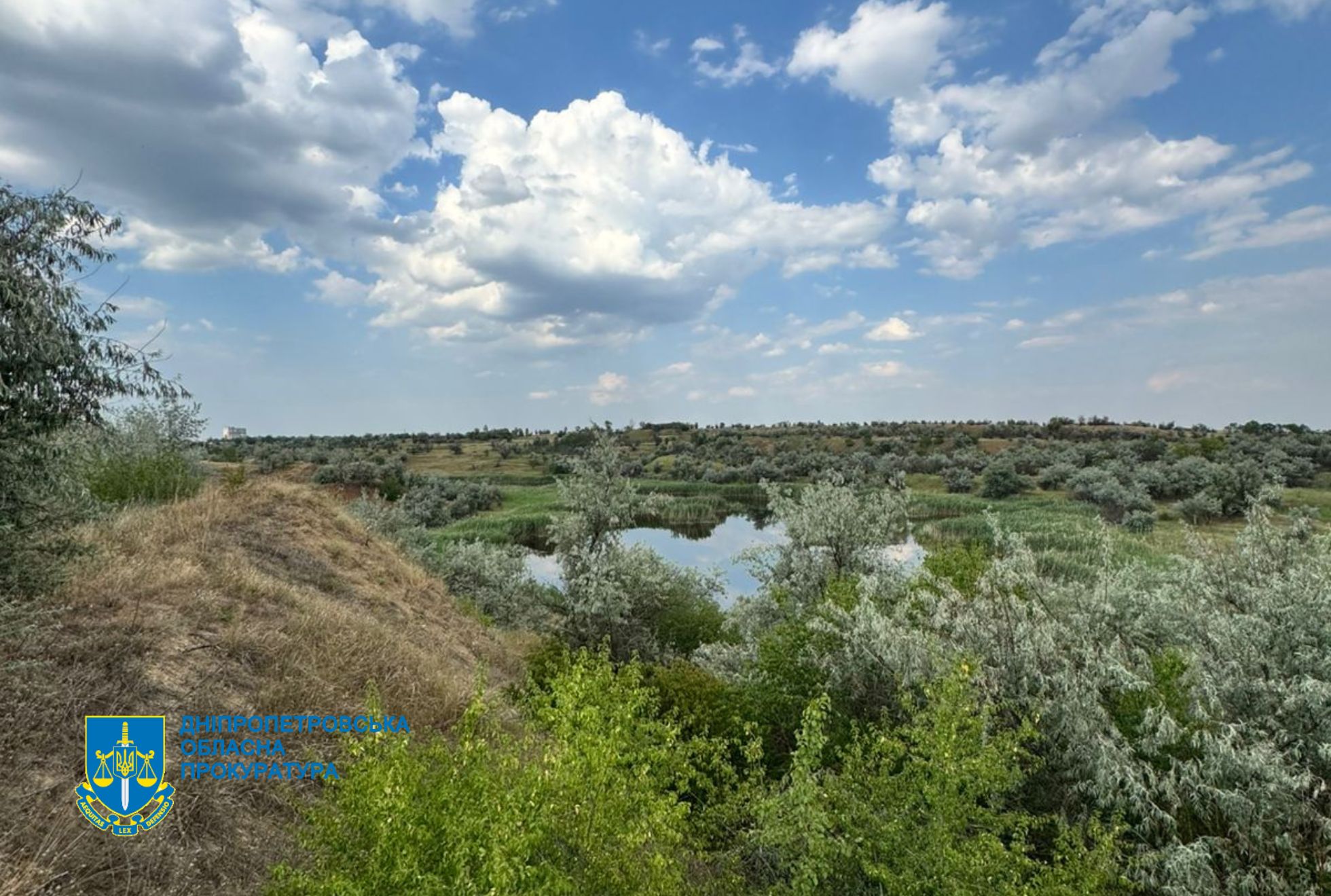 Землі повернуті державі