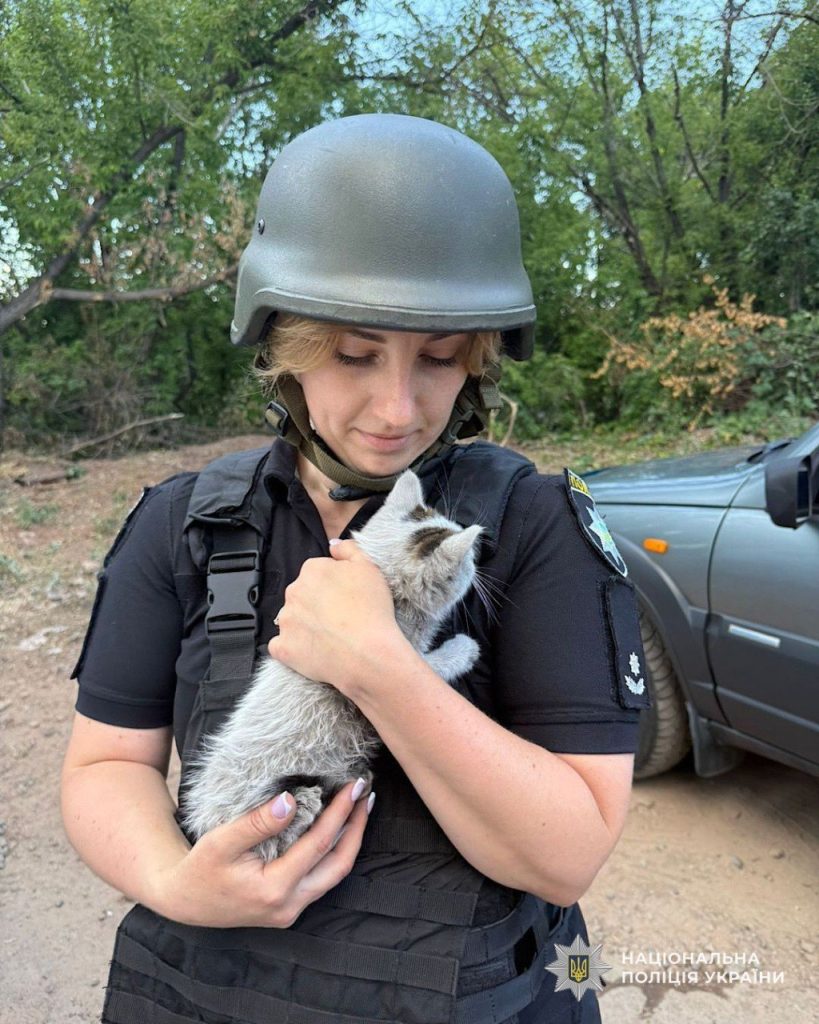 Врятона кошеня