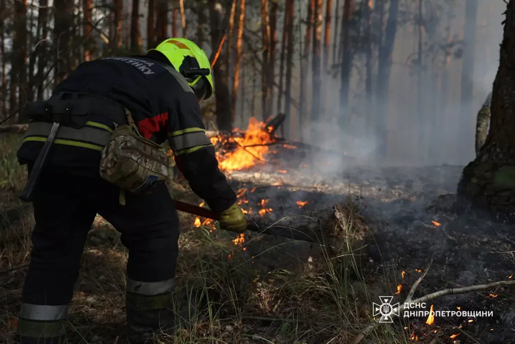 ДСНС ліквідують пожежу