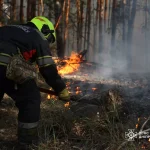 ДСНС ліквідують пожежу
