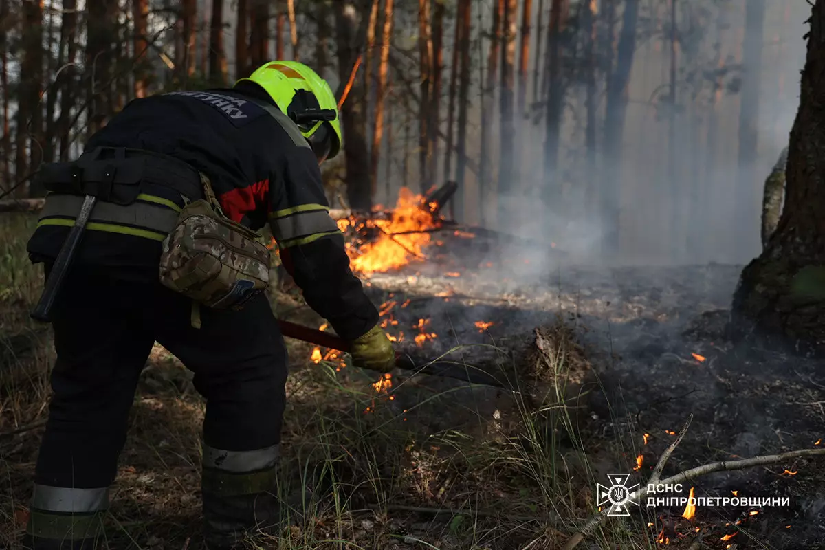 ДСНС ліквідують пожежу