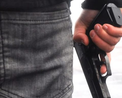 Діти стріляли з пневматичного пістолета по тваринам у Кривому Розі