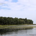 Забудова набережної в Дніпрі