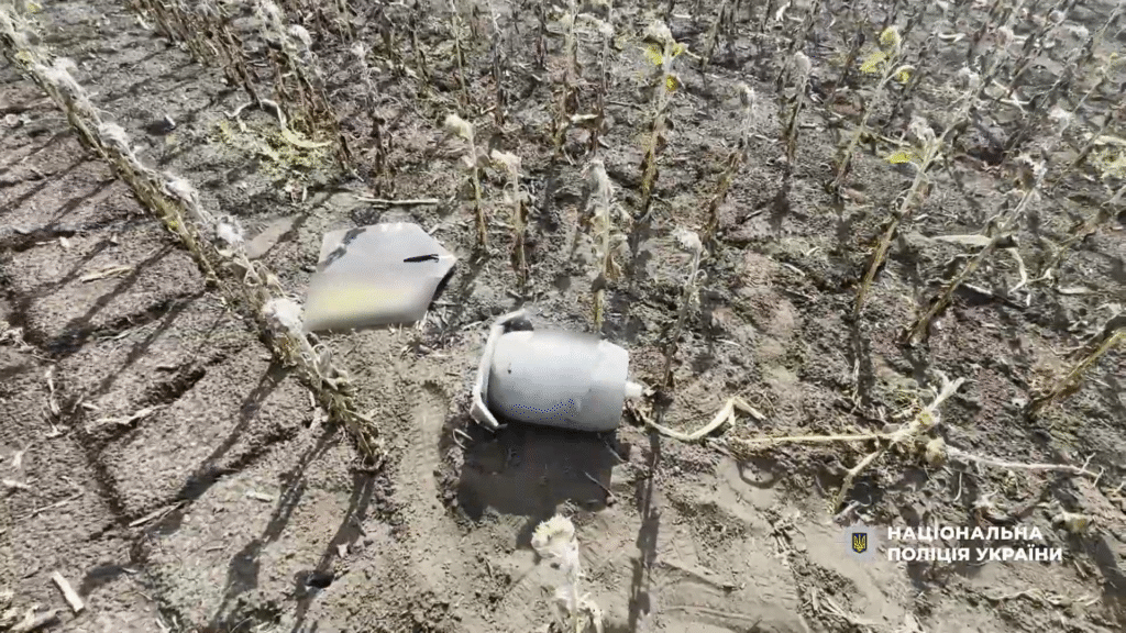 Бойова частина БпЛА