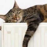 У Дніпрі опалювальний сезон розпочнеться 1 листопада