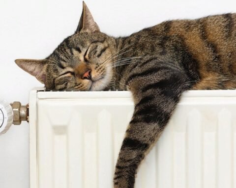 У Дніпрі опалювальний сезон розпочнеться 1 листопада