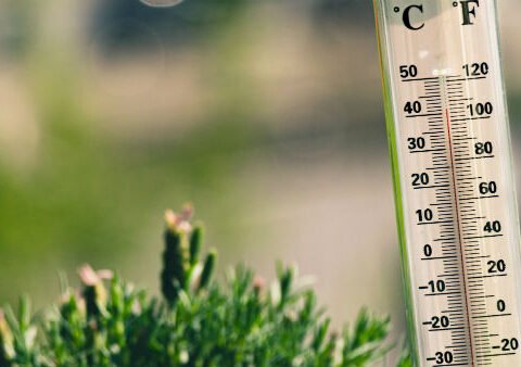 У Дніпрі зафіксовано новий температурний рекорд