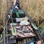 На Дніпропетровщині рибалки незаконним виловом завдали понад 1,5 млн грн збитків