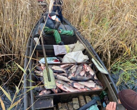 На Дніпропетровщині рибалки незаконним виловом завдали понад 1,5 млн грн збитків