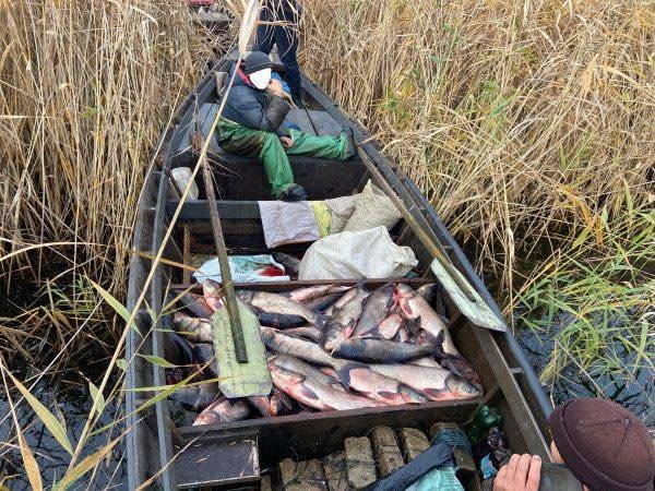 На Дніпропетровщині рибалки незаконним виловом завдали понад 1,5 млн грн збитків