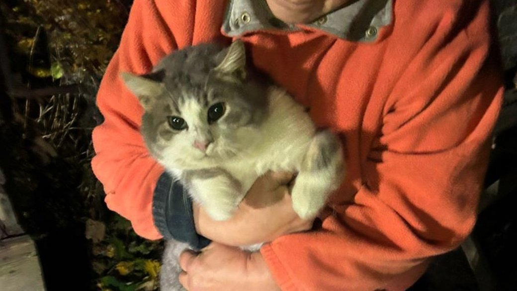 На Дніпропетровщині рятувальники дістали кота з 9-метрового колодязя