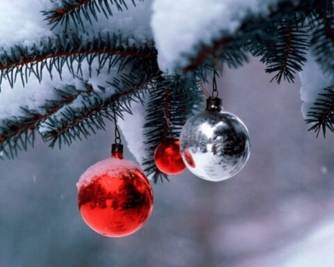 У Кривому Розі вкрали прикраси з районної ялинки