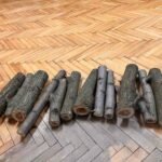 У Дніпрі виконавча служба вилучила у боржника 12 дровин акації