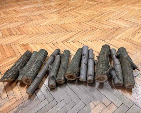 У Дніпрі виконавча служба вилучила у боржника 12 дровин акації