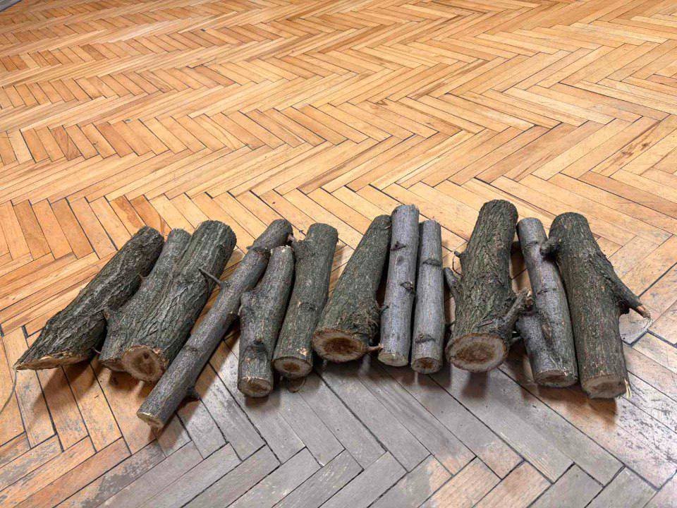 У Дніпрі виконавча служба вилучила у боржника 12 дровин акації